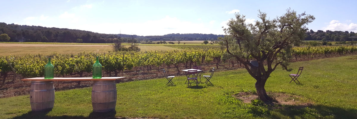 vue extérieur domaine fredavelle barriques chaises olivier vignes soleil provence vin aop coteaux d'aix-en-provence
