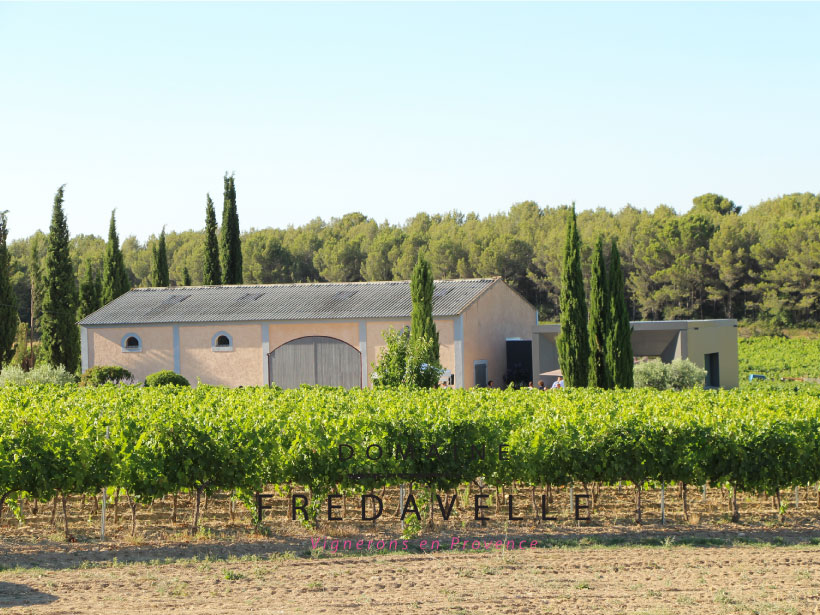 domaine fredavelle espace dégustation vin vue sur les vignes route des vins architecture tourisme aix marseille provence vignoble